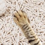 Biodegradable Premium Tofu Cat Litter White Low Tracking Cat Litter for sale