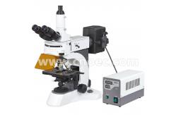 China 40x - 1000x Epi - Fluorescence Microscope Trinocular A16.1028 supplier