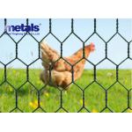 PVC Coated Chicken Hexagonal Wire Mesh Netting Green 1 Hole OEM for sale