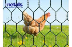 China PVC Coated Chicken Hexagonal Wire Mesh Netting Green 1 Hole OEM supplier
