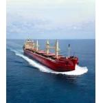 Solid Bulk Carrier Loading Procedure Saving Cargo Space Non Containment for sale