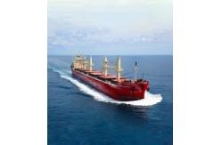 China Solid Bulk Carrier Loading Procedure Saving Cargo Space Non Containment supplier