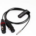 3 Pin Female To 5 Pin Male Audio Input Cable 70cm For Arri Alexa for sale