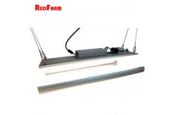 China High Lumen Hydroponics 330W G2 Quantum Board LED Grow Lights supplier