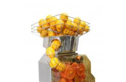 China Large Capacity Electric Citrus Juicer Safety Cut Off Switched For Hotel / Garden supplier