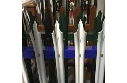 China Galvanized Steel W Pale Security Palisade Fence Wrought Iron 1.8m supplier