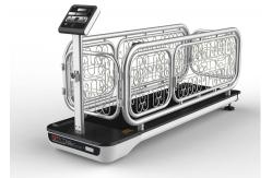 China BSCI Stainless Steel Walking Jogger Dog Exercise Treadmill supplier