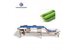 China Industrial Automatic Leafy Vegetable And Fruit Lifting Sorting Table Machine supplier