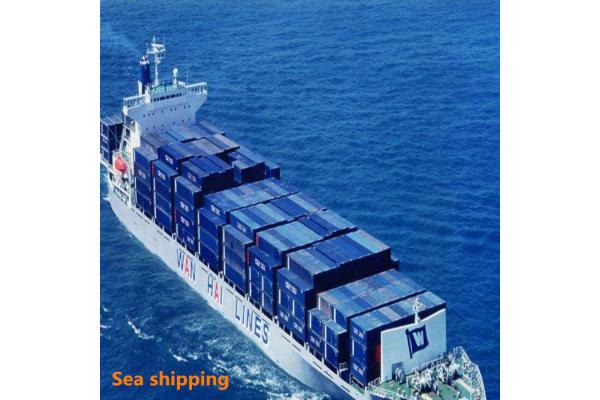 24 Hours 7 Days China To USA LCL DDP Sea Shipping