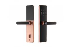 China S819 Smart Fingerprint Locks Zigbee Biometric Door Locks For Home supplier