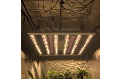 China Indoor 480W Osram 660nm 6Bars Horticulture LED Grow Light Full Spectrum supplier