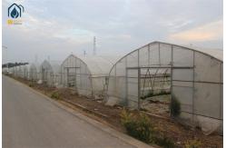 China Arched Temperature Control Tunnel Green Houses With Outside Shading System supplier