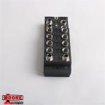 IC676PBO082  IC676PBO082-EA  GE  Central Processing Unit