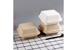 China Customized Size Logo Biodegradable Sugarcane Syrup Burger Box supplier