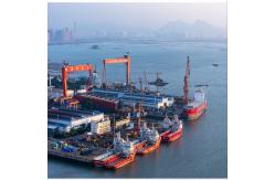 China From China To UAE Middle East International DDP Sea Freight Forwarder supplier