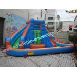 Colorful Outdoor Inflatable Water Slides , Inflatable Pool Slide For Commercial Use for sale