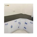 Adjustable Height Polypropylene Lab Bench With Caster Wheels
