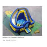 Inflatble Slide / inflatable pool slide / inflatable funny slide with pool for sale