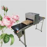 Egg Continuous Inkjet Printer for Date / Serial No / Batch code / Logo