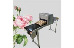 China Egg Continuous Inkjet Printer for Date / Serial No / Batch code / Logo supplier
