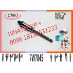 Fuel Injector Nozzle 170-5181 7W7045 with Best Competitive Price 7W-7045 for sale
