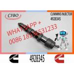 Q19 Diesel Engine Common Rail Injector 4087888 4087889 4928348 4010025 4928345 4928346