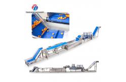 China Fruit and vegetable selection  washing and drying production line supplier