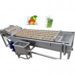 1200kg/H Herbal Medicine Bubble Washing Machine Pickles Processing for sale