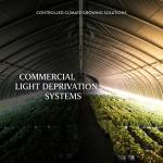 Automatic Ventilation Light Deprivation Greenhouse With UV Resistant Polyethylene Film for sale