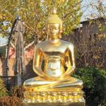 Large Gold Leaf Thailand Gold Buddha Statue 1m High Medium Size for sale