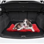 Travel Waterproof Outdoor Cat Blanket 5cm Thick PP Cotton for sale