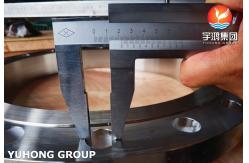 China ASTM A182 F904L Stainless Steel Flanges with Excellent Corrosion Resistance supplier
