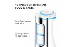 China Multifunctional Hand Blender manufacturer Food Mixer 12 Speeds For Chopping Blending supplier