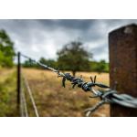 Garden Anti-Theft Single Strand Stainless Steel Barbed Wire Price Per Roll for sale