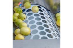 China 2.5KW Vegetable Fruit Sorting Machine Roller Barrel Grading equipment supplier