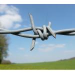 16G galvanized wire barbed fencing 100m, 250m 500m 1.6mm barbed wire fence price per roll for sale