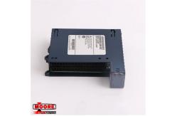 China IC694MDL660  GE  Input Module supplier