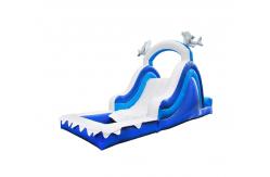China Aldult  Outdoor Rental Inflatable Large Water Slides With Bouncy supplier
