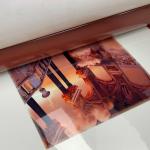 Daqin Graphtec PC Case Personalized Mobile Cover Online printing machine