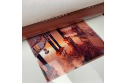 China Daqin Graphtec PC Case Personalized Mobile Cover Online printing machine supplier
