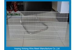 China Powders Sprayed Coating 358 High Security Fence for Power Station supplier