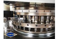 China Customized Automatic Rotary Pharmaceutical Pill Press For Chemical Laboratory supplier