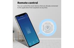 China Tuya 10A 16A Wifi Switch Smart Breaker Module APP Remote Control Switch supplier