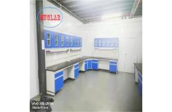China Customizable Wood Modular Lab Furniture Solution for and Laboratories supplier