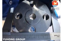 China Durable Metal Flange ASME ASTM BS DIN 14 170 - 150PSI Vanish Coating Surface supplier
