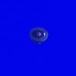 Infrared Waterproof CP Plus CCTV Optical Camera Lenses
