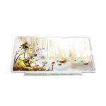 B133XW01 V1 13.3 inch 1366*768 laptop lcd screen Display for sale