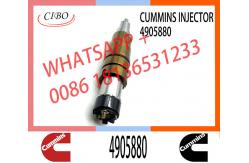 China Diesel Fuel Injectors 2872544 2031835 2030519 4905880 For Cummins supplier