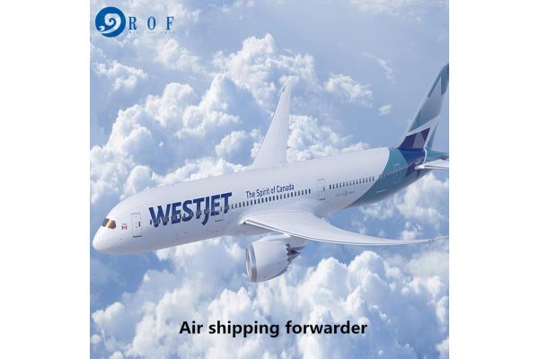 China To Germany Amazon FBA Freight Forwarder
