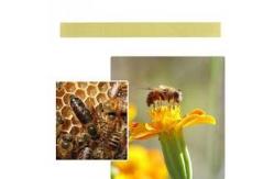 China New Manhao Strip Tau-Fluvalinate Material Bee Medicine Curing Varroa Bee Mites supplier